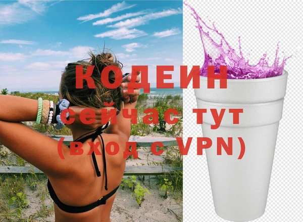 хмурый Белокуриха