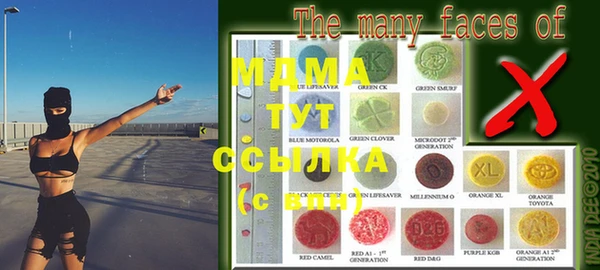 хмурый Белокуриха