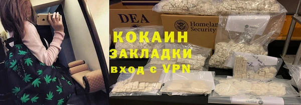 хмурый Белокуриха