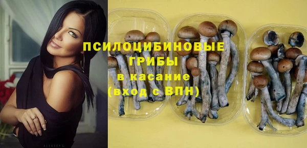 мяу мяу мука Беломорск