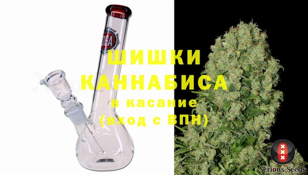 хмурый Белокуриха