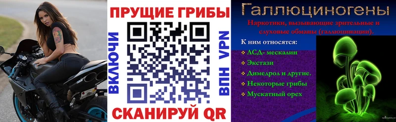 Псилоцибиновые грибы Cubensis  OMG ссылки  Полесск 